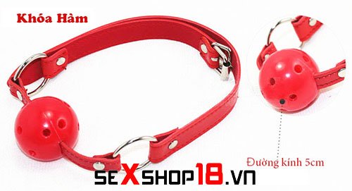 Bộ đồ chơi bằng da đỏ 7 món - Dụng cụ bạo dâm (BD01) 4 Bộ đồ chơi bằng da đỏ 7 món dụng cụ bạo dâm giá rẻ tại Hà Nội