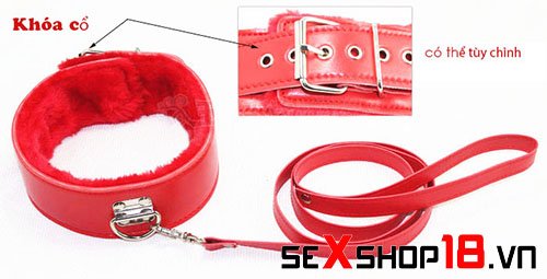 Bộ đồ chơi bằng da đỏ 7 món - Dụng cụ bạo dâm (BD01) 6 Bộ đồ chơi bằng da đỏ 7 món dụng cụ bạo dâm nơi bán uy tín