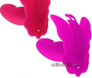 duong vat gia dieu khien hinh buom