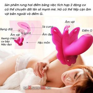 duong vat gia dieu khien hinh buom tai ha noi
