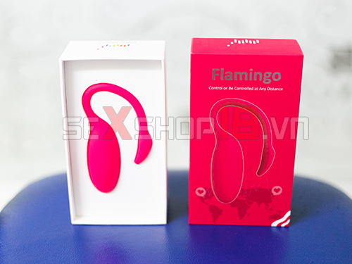 Trứng rung kết nối Bluetooth Magic Motion mua ở đâu