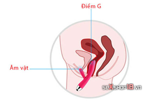 Máy Rung Liếm Điểm G Trysta Svakom Cao Cấp (SK89H) 10 a6d34db6c471212f7860