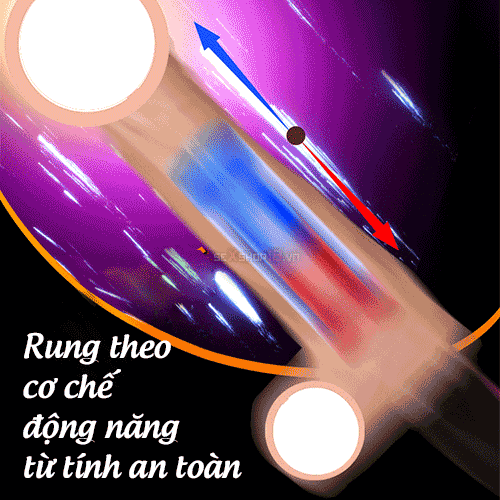 sextoy cho nu thu dam