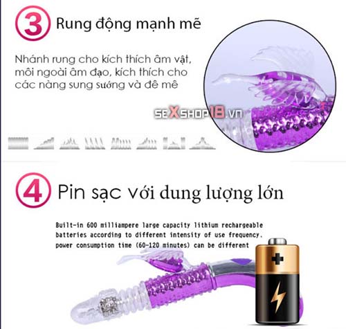 duong vat da nang libo 1