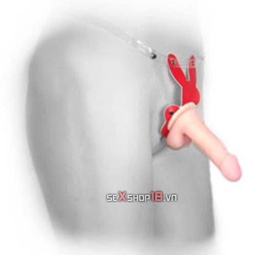 Dương Vật Dây Đeo Thay Đầu Cỡ Nhỏ Siêu Mềm (G65D) 3 duong vat day cho les