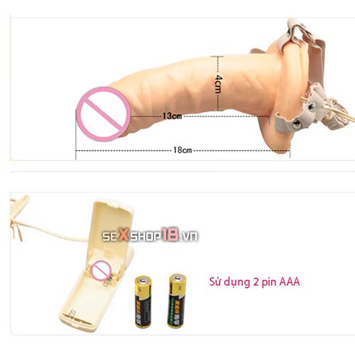 Dương Vật Dây Đeo Rỗng Ruột Giống Thật Cho Bạn Tự Tin (P65P) 4 duong vat day deo rong ruot giong that mua o dau
