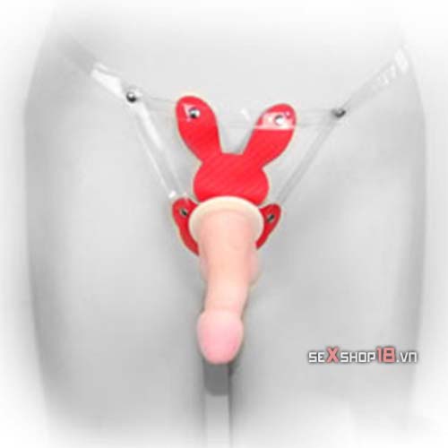 Dương Vật Dây Đeo Thay Đầu Cỡ Nhỏ Siêu Mềm (G65D) 2 duong vat day deo thay dau co nho tai tphcm