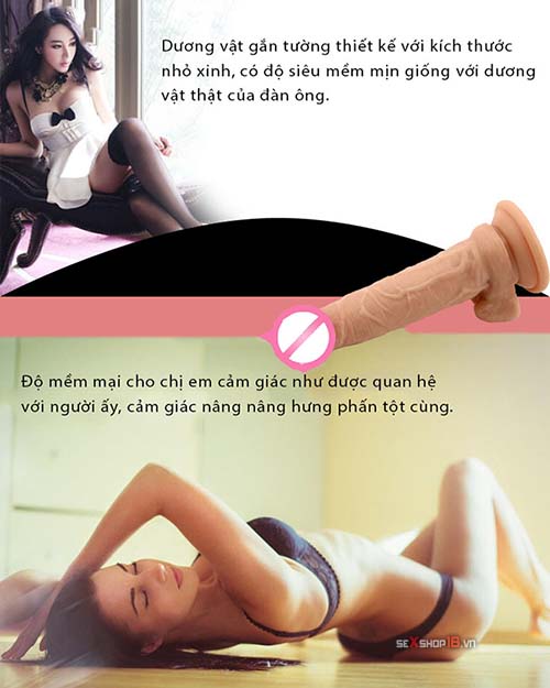 duong vat gan tuong size nho mua o dau