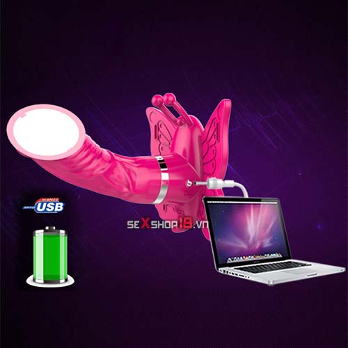duong vat gia gan quan lot sac usb