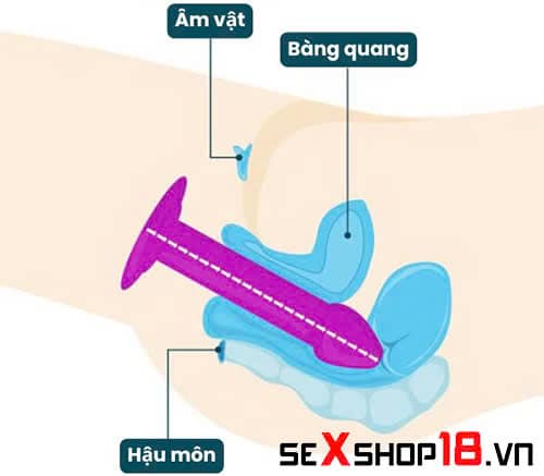 9 Cách sử dụng dương vật giả khiến chị em sướng ngất ngây 4 cách sử dụng dương vật giả đút lút cán