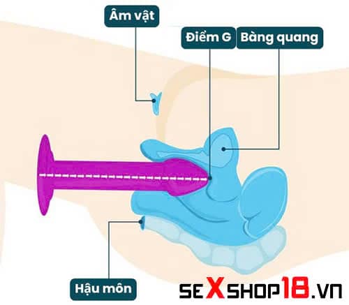 9 Cách sử dụng dương vật giả khiến chị em sướng ngất ngây 3 cách sử dụng dương vật giả đút nông ngắn