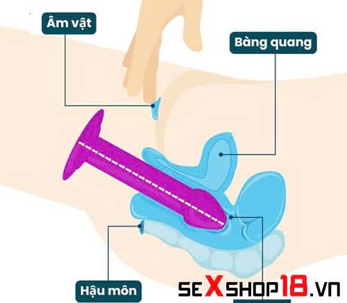 9 Cách sử dụng dương vật giả khiến chị em sướng ngất ngây 9 cách sử dụng dương vật giả tạo khoái cảm