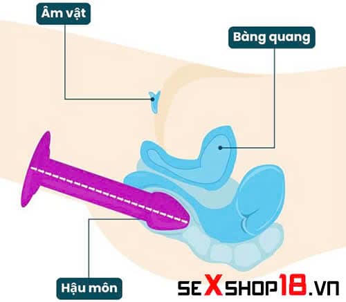 9 Cách sử dụng dương vật giả khiến chị em sướng ngất ngây 7 cách sử dụng dương vật giả thông đít