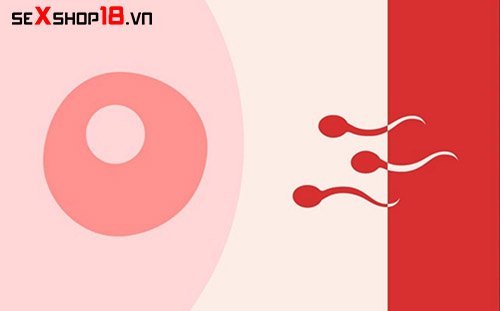 Quan hệ ngoài quần lót có thai không? Cách quan hệ an toàn 1 Quan hệ ngoài quần lót có thai không? Thụ thai bằng cách nào?