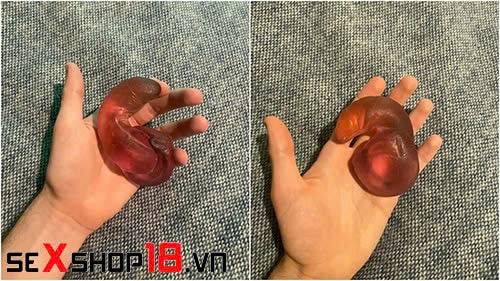 Khi nào nên thay mới dương vật giả? 5 Dấu hiệu cần nhận biết 3 Dấu hiệu nhận biết khi nào nên thay mới dương vật giả