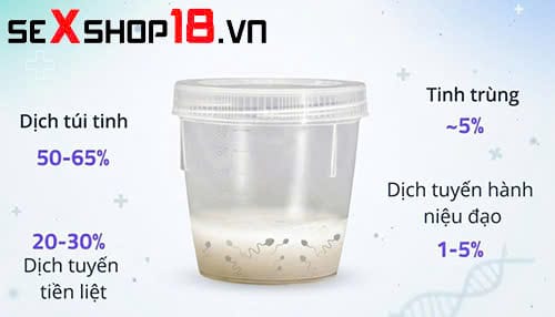 Tinh trùng rửa bằng nước có sạch không? Giải đáp chi tiết từ A-Z 1 Tinh trùng rửa bằng nước có sạch không khi dính trên da