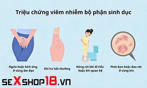 Viêm Bộ Phận Sinh Dục Nữ Là Gì? Nguyên Nhân, Triệu Chứng Và Cách Điều Trị 3 triệu chứng khởi phát khi viêm bộ phận sinh dục nữ là gì