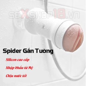 am-dao-gia-dan-tuong-cao-cap-spider-7085