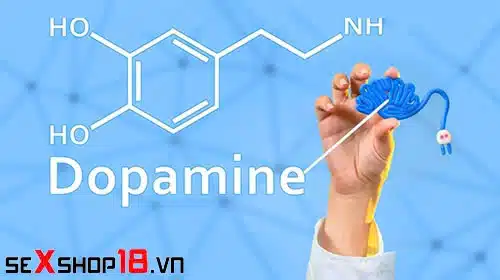 Dopamine là gì? Bạn biết gì về Hormone hạnh phúc? 1 Chức năng của Dopamine là gì?
