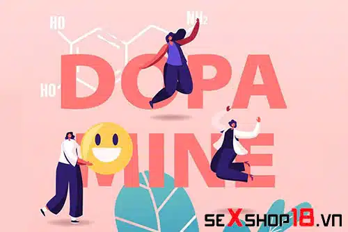 Dopamine là gì? Bạn biết gì về Hormone hạnh phúc? 2 Vai trò của Dopamine là gì?