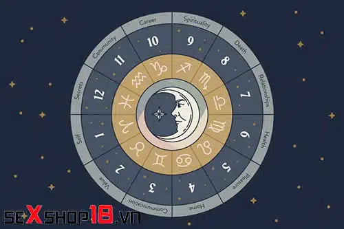 Bản đồ sao là gì? Hướng dẫn cách xem bản đồ sao cực chuẩn 5 các nhà trong bản đồ sao là gì