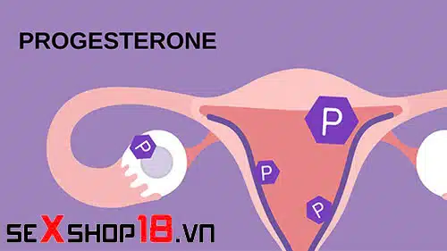 Progesterone là gì? Vai trò và cách bổ sung hormone này 1 hormone progesterone là gì