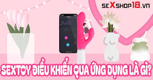 sextoy dieu khien qua ung dung la gi
