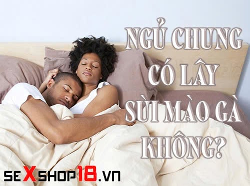 ngu chung co lay sui mao ga khong