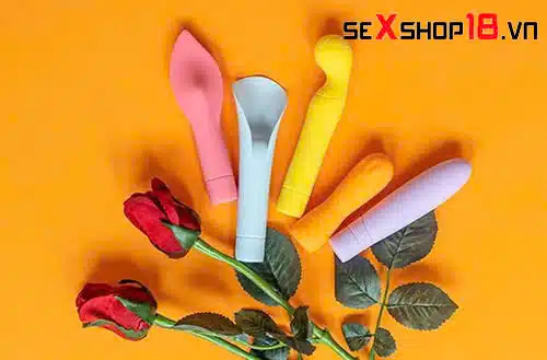 Hướng dẫn chọn đồ chơi tình dục cho người mới bắt đầu 1 Tiêu chí chọn đồ chơi tình dục cho người mới bắt đầu
