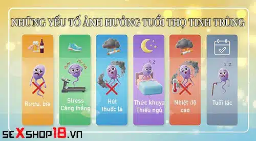 Tinh trùng sống được bao lâu trong tử cung sau khi quan hệ? 3 Tinh trùng sống được bao lâu trong tử cung khi quan hệ?