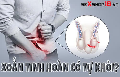 HOME 285 xoan tinh hoan co tu khoi