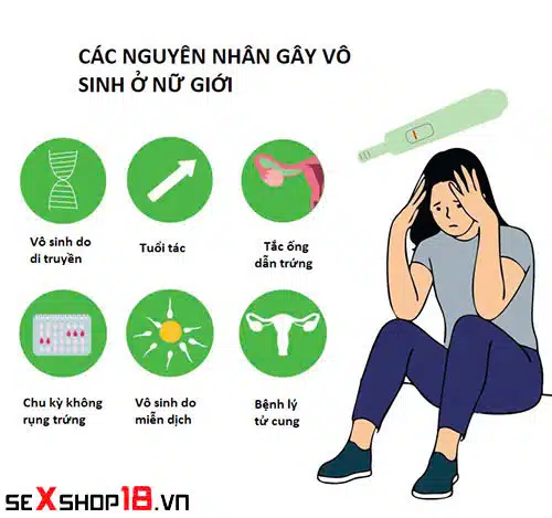 Vô sinh là gì? Nguyên nhân, dấu hiệu và phương pháp hỗ trợ sinh sản 3 Vô sinh là gì và nguyên nhân gây ra ở nữ giới