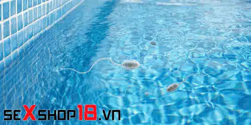 Con trai xuất tinh khi đi bơi có thể mang thai không? Sự thật khoa học 1 Con trai xuất tinh khi đi bơi có thể mang thai không? thời lượng sống của tinh trùng