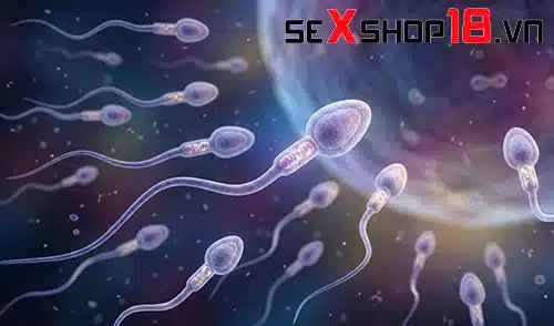 Tinh trùng là gì? Cấu tạo, chức năng và các yếu tố ảnh hưởng 1 Giải đáp tinh trùng là gì