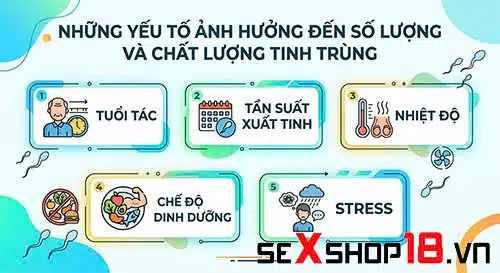 Nam giới mỗi lần xuất bao nhiêu tinh trùng? Số liệu y khoa 3 Nam giới mỗi lần xuất bao nhiêu tinh trùng thì thụ thai?