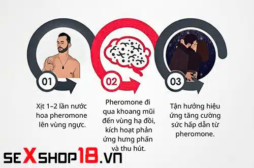Pheromone Là Gì? Giải Mã Tín Hiệu Hóa Học Thu Hút Tự Nhiên 4 Nước hoa Pheromone là gì?