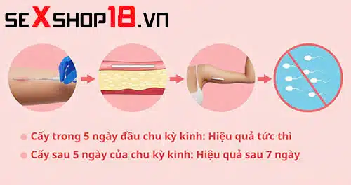 Cấy que tránh thai bao lâu thì có tác dụng? Giải đáp y khoa 2 Nữ giới bỏ thuốc tránh thai Cấy que tránh thai bao lâu thì có tác dụng?