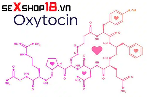 Tại sao quan hệ lần 2 lâu hơn lần 1? Nguyên nhân từ Oxytocin