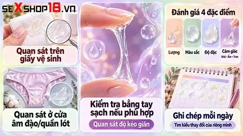 Chất nhầy cổ tử cung là gì? Thay đổi thế nào theo chu kỳ? 5 cách kiểm tra chất nhầy cổ tử cung là gì