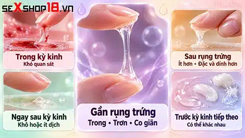 Chất nhầy cổ tử cung là gì? Thay đổi thế nào theo chu kỳ? 4 chất nhầy cổ tử cung là gì trong chu kỳ kinh