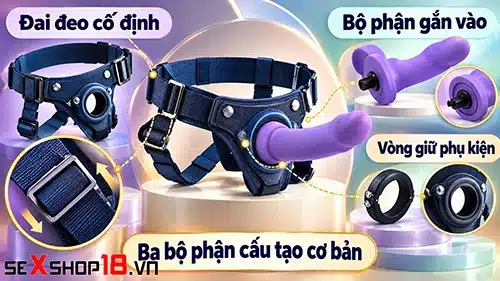 Strap on là gì? Phân loại, cách chọn và sử dụng an toàn 1 cấu tạo của strap on là gì